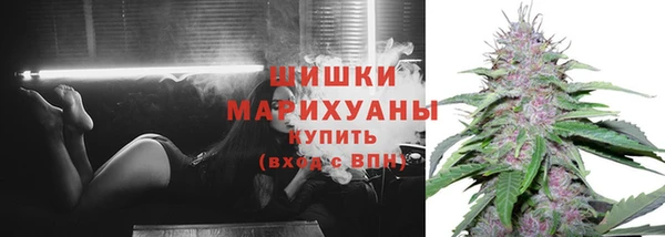 стафф Белокуриха