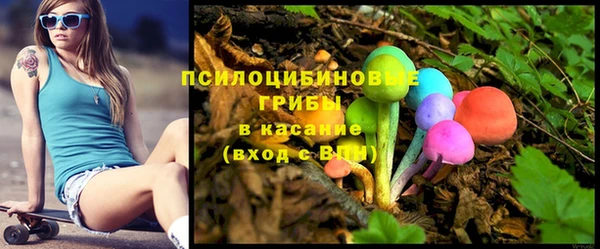 гидра Богородск