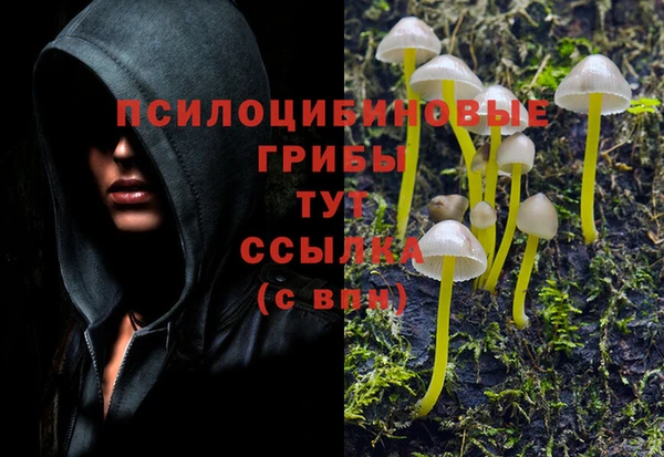 стафф Белокуриха