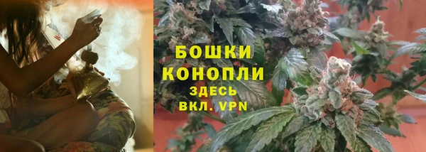 PSILOCYBIN Протвино